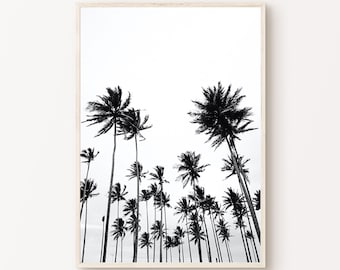 Printable Palm Tree Black and White Photography, Coastal Large Wall Art, Tropical Palm Print, California Beach Print, Palm Tree Poster