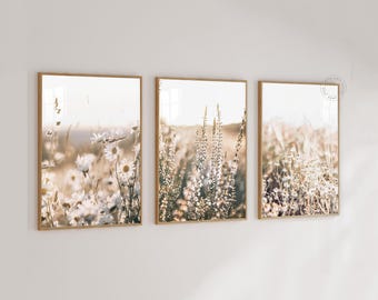 May include: Three framed art prints featuring close-up photographs of wildflowers in a field. The prints have a warm, neutral color palette with soft focus and natural light. The frames are a light wood color.