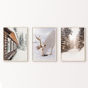 Winter Set of 3 DIGITAL Prints, Christmas Gallery Wall Decor, Snowy Landscape Poster, Winter Forest Photography Set, White Reindeer Print