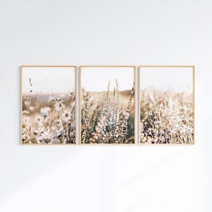 May include: Three framed prints depicting a field of wildflowers in muted tones. The artwork shows daisies and tall grasses, creating a calm, natural aesthetic. The frames are a light wood colour, adding warmth to the overall design, suitable for a living room.