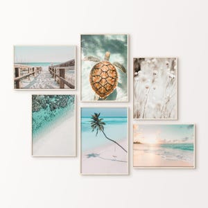 Set di 6 stampe da parete costiere stampabili, stampa aerea di spiaggia, set di 6 fotografie di spiaggia tropicale, stampa di tartaruga marina, stampa di palma