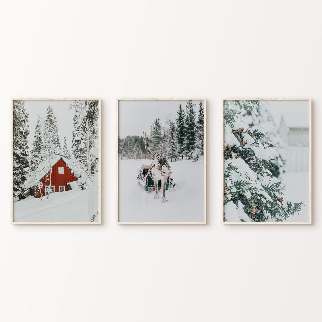 Winter Forest Landscape Set of 3 Printable Photography, Winter Theme 3 ...