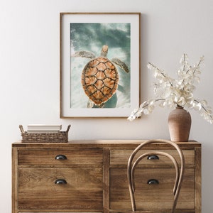 Free Printable Wall Art Sea Turtle