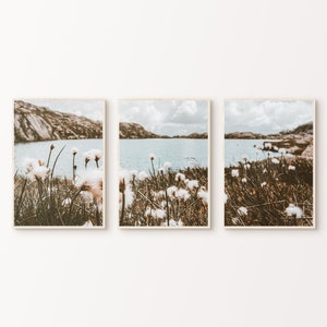 Printable Wildflowers Set of 3 Photography, Nature Landscape 3 Pieces Large Wall Art, Dandelion Wall Art, Mountain Lake Print