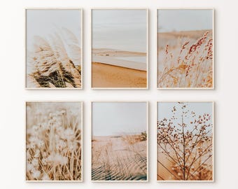 Neutral Boho Set of 6 Print DIGITAL, Pampass Grass Wall Art, Beige 6 Pieces Wall Art, Dried Grass Photography, Beach Dunes Large Wall Art