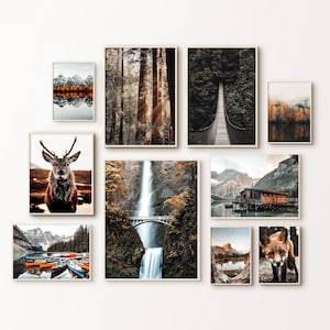Bergsee Fotografie, Bergsee Fotografie, 10er Set Naturbilder, Waldlandschaft, Reh & Fuchs Druck, rustikales Dekor