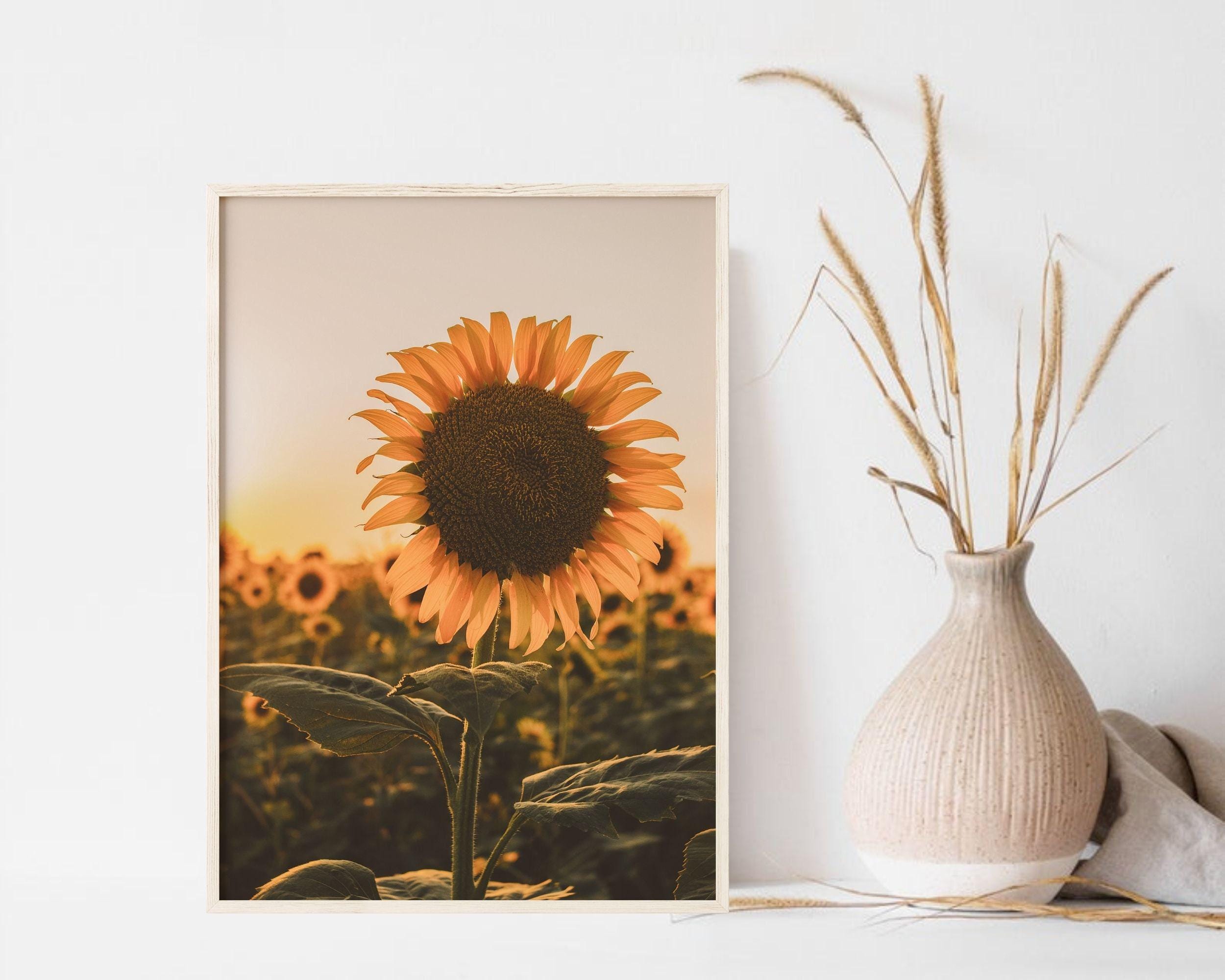 Farmhouse Print Set of 3 Pieces Wall Art, Nature Photography Printable ...