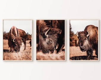 Buffalo set van 3 prenten digitaal, Bison 3 stuks muurkunst, zuidwestelijke grote muurkunst, afdrukbare dierenfotografie, boerderij muur decor