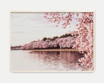 Fotografía digital de cerezos en flor, arte imprimible de Washington, impresión botánica ruborizada, arte mural grande de cerezos en flor, decoración de pared de primavera