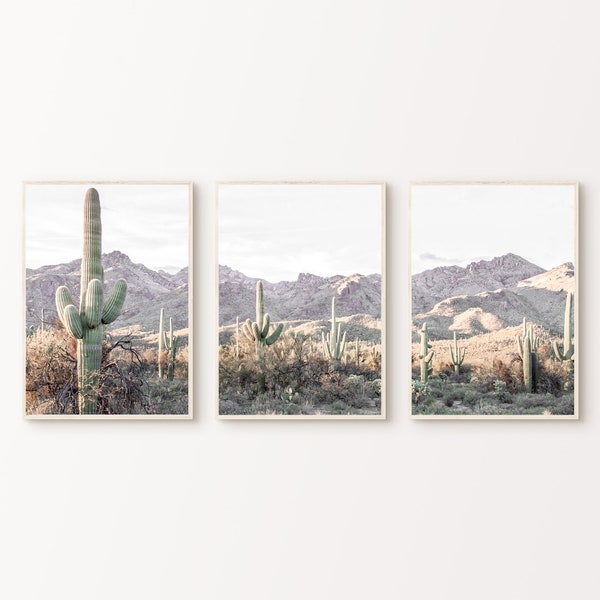 Ensemble de 3 impressions d'art du désert, Cactus 3 pièces Wall Art, Boho Gallery Wall Set, Arizona Desert Art, Photographie Affiche imprimable, Grand Art mural