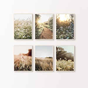 Conjunto de 6 fotografías de naturaleza imprimibles, 6 piezas de arte mural grande de flores silvestres, conjunto de impresiones de naturaleza verde, arte digital de descarga de paisaje forestal