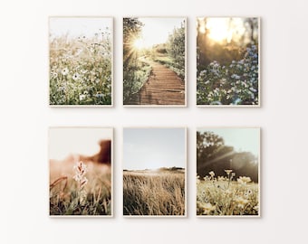 Printable Nature Set of 6 Photography, Wildflowers 6 Pieces Large Wall Art, Green Nature Prints Set, Forest Landscape Digital Download Art