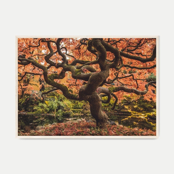 Sakura Tree PRINTABLE Wall Art, Nature Landscape Photography Print, Autumn Large Wall Art, Rustic Farmhouse Wall Decor, Japanese Tree Print