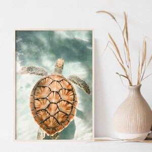 Printable Sea Turtle Photography, Coastal Large Wall Art, Beach Digital ...
