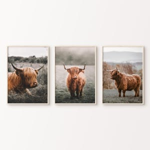 Highland Cow Set of 3 Printable Photography, Scottish Cow 3 Pieces Wall Art, Rustic Cattle Print, Farm Animal Canvas, Western Large Wall Art