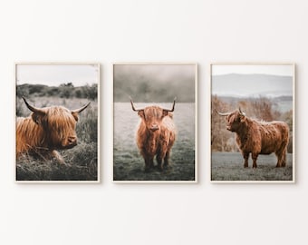 Juego de 3 fotografías imprimibles de vacas de las Tierras Altas, arte mural de 3 piezas de vaca escocesa, impresión rústica de ganado, lienzo de animales de granja, arte mural grande del oeste.