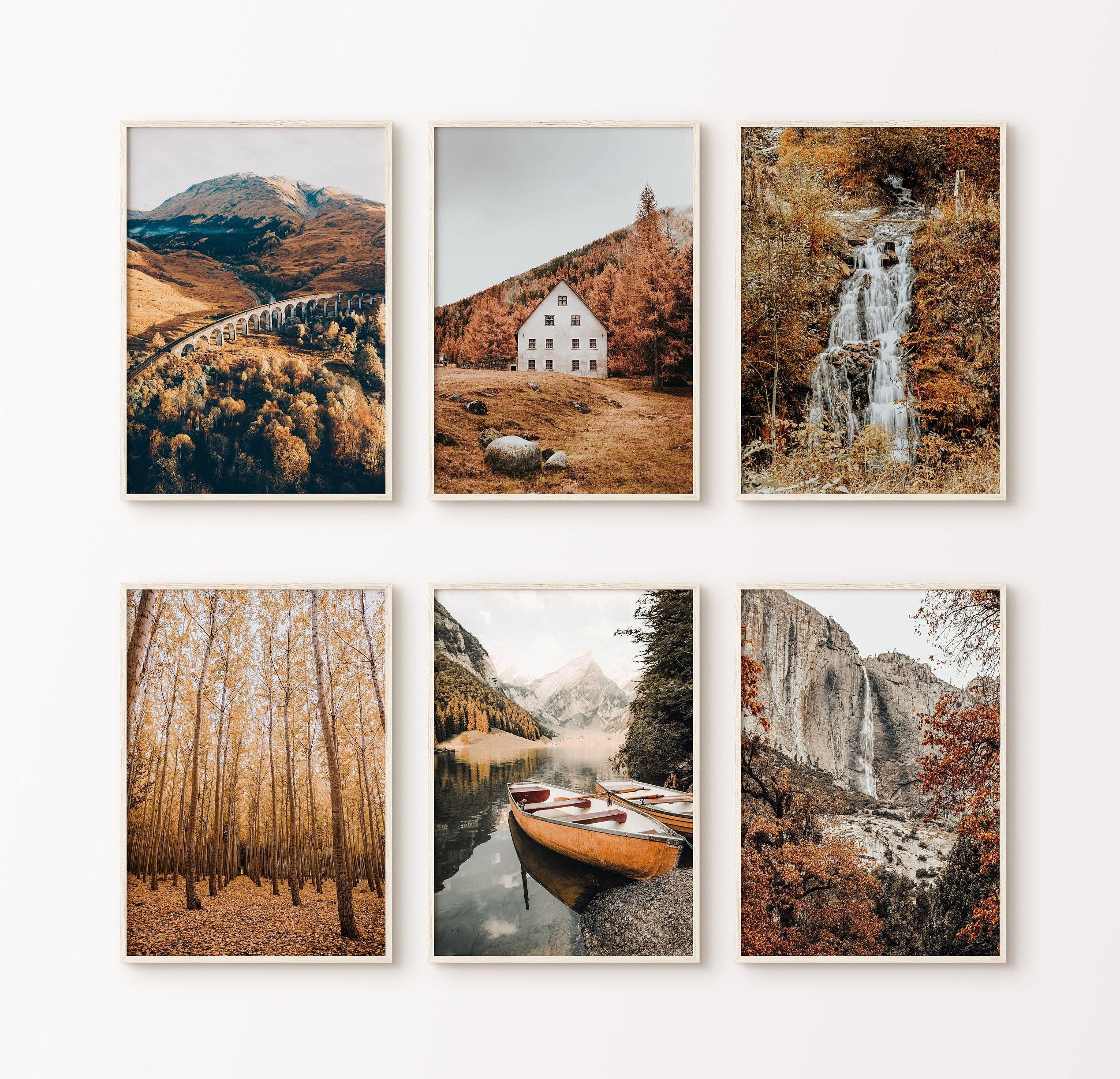 Fall Forest Set of 6 Printable Photography, Autumn Nature Gallery Wall ...