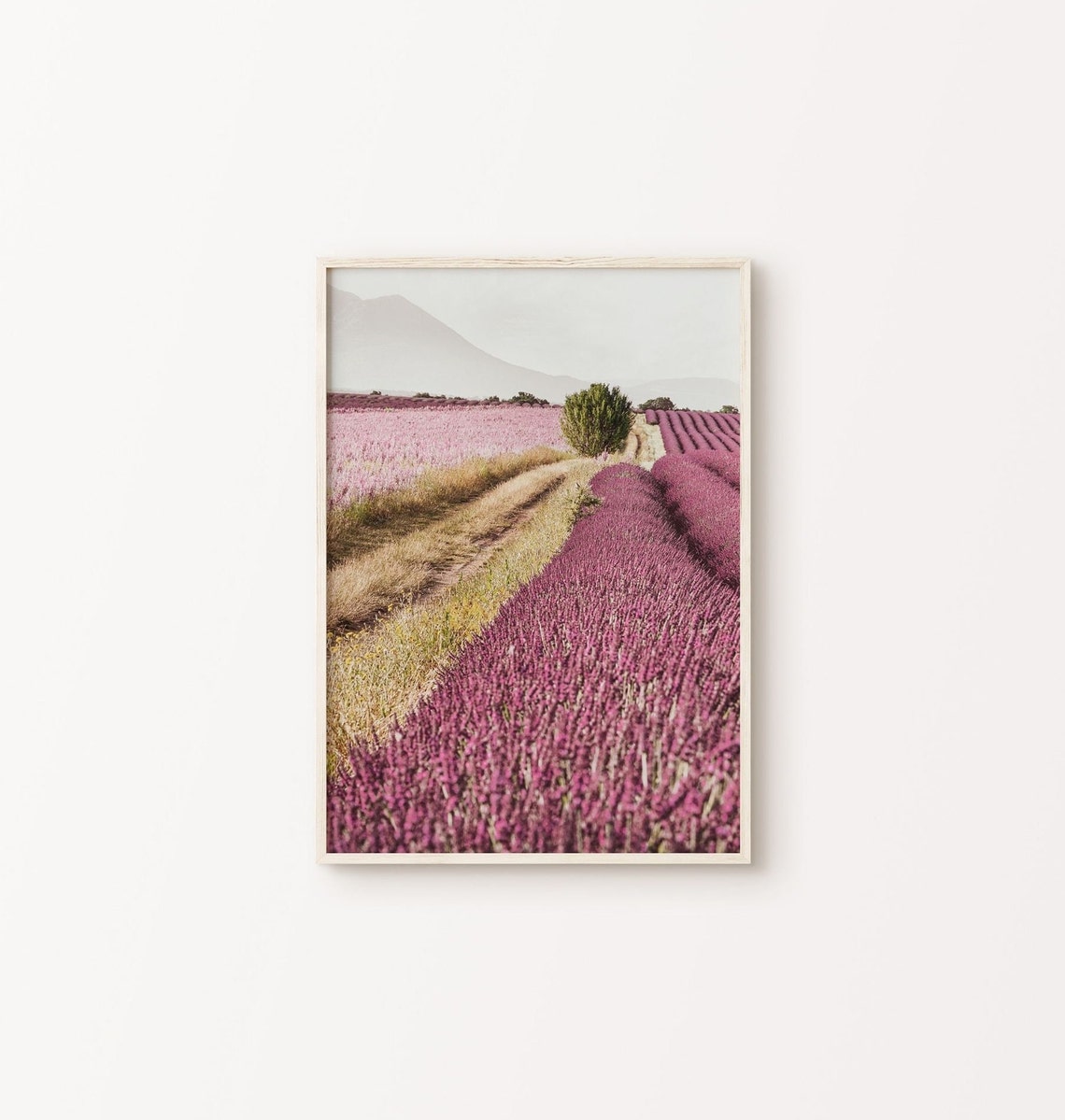 Printable Photography of a Lavender Fields Purple Flowers | Etsy