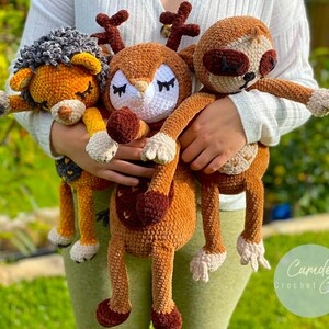 Sloth Lion Deer Crochet Pattern | 3 patterns in 1 bundle | Sweetheart Snuggle-buddy Series | Amigurumi  PDF Digital File | English