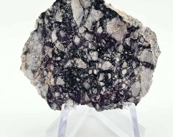 NWA 15629 Mingled Feldspathic Basalt Breccia 14.5g Slice