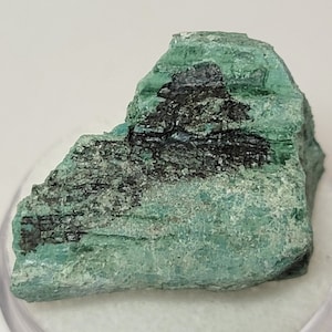 7 gramos de madera petrificada de CROMO verde extremadamente RARO y agradable de Winslow AZ
