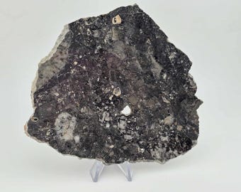 Nagjir 005 TRANSLUCENT Lunar Melt Breccia Meteorite 81.3g with a COA