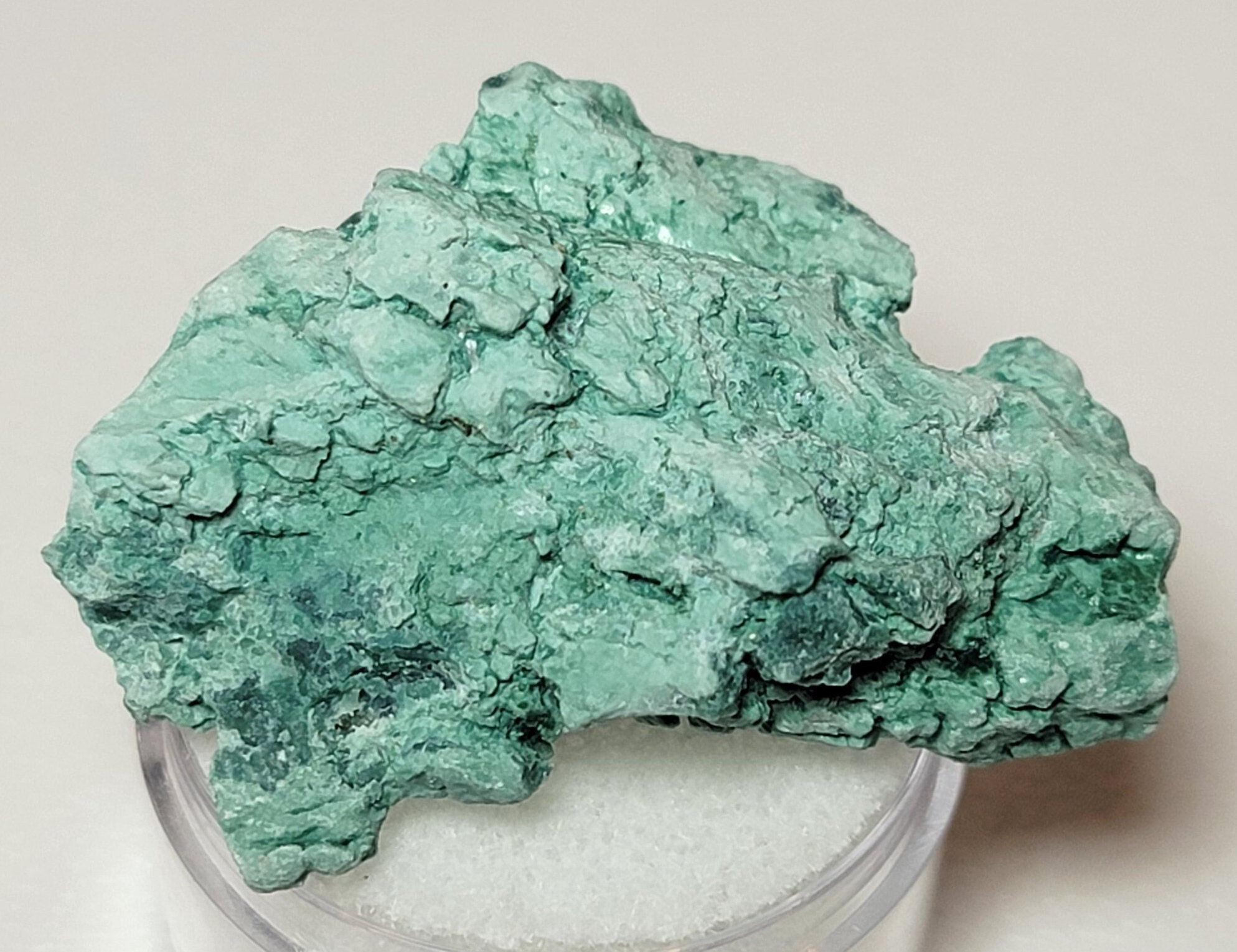 14.1 Grams Extremely RARE, Nice Green CHROMIUM Petrified Wood From