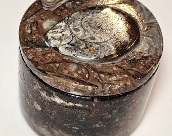 Handmade Ammonite and Orthoceras Trinket or Pill Box from Morocco - 2 inches - 160 grams