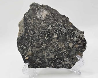 Nagjir 005 TRANSLUCENT Lunar Melt Breccia Meteorite 82.9g with a COA