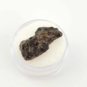 May include: A dark brown, irregularly shaped meteorite specimen, presented in a clear, round display case. The meteorite has a rough, textured surface and is set against a white background.