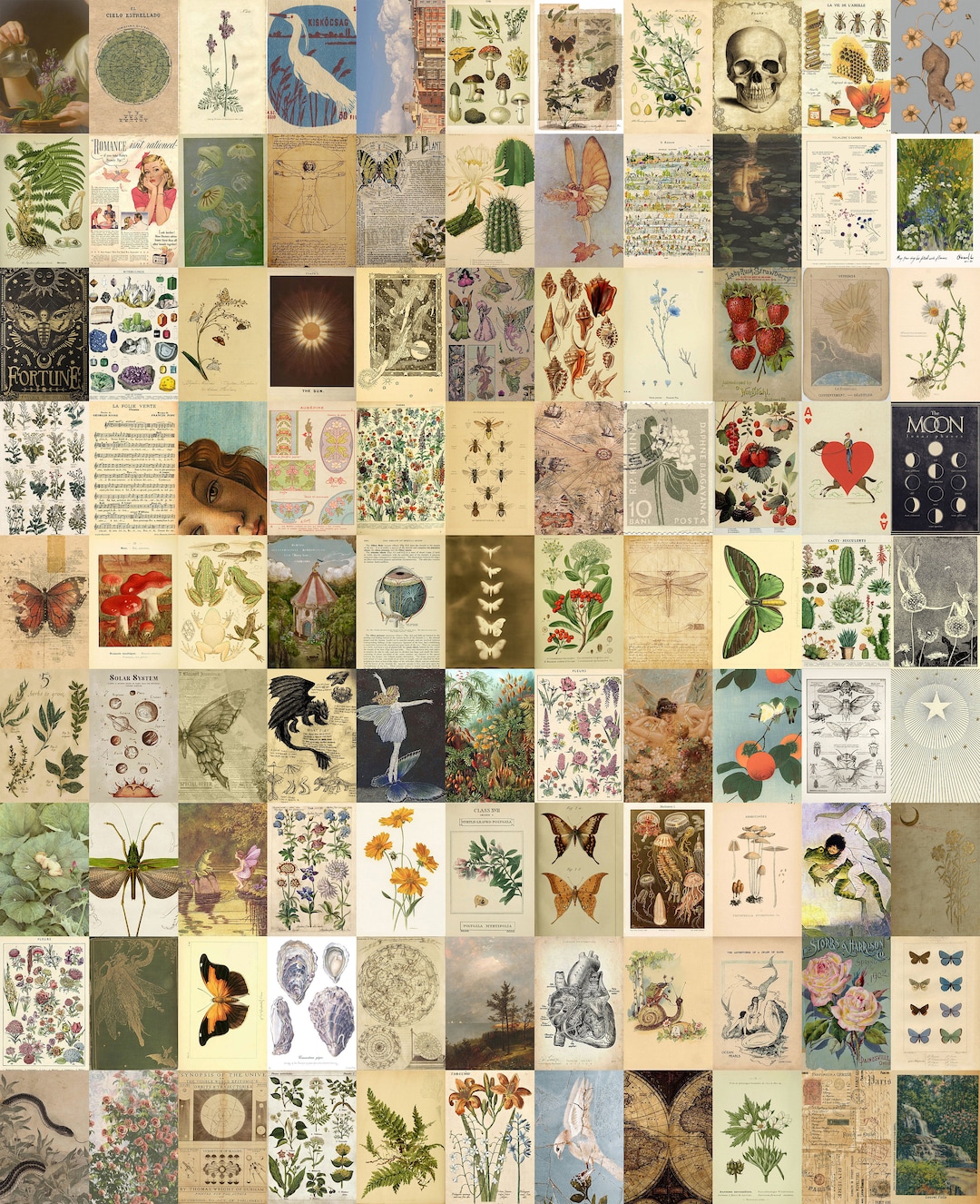 200 PCS Cottagecore Wall Collage Kit Vintage Cottagecore Poster Collage ...