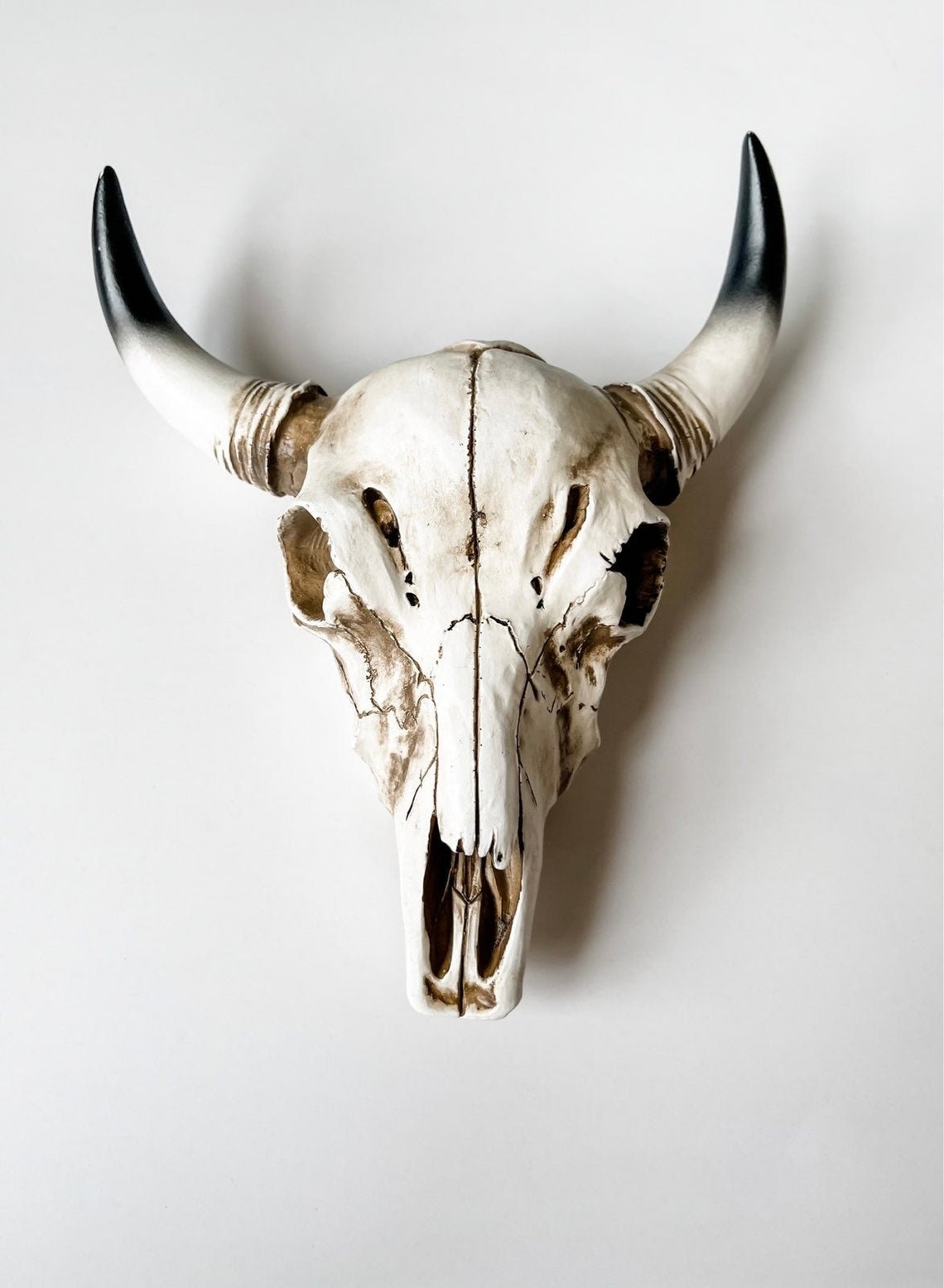 Resin Cow Skull Cow Head Longhorn Wall Decor gift idea Etsy
