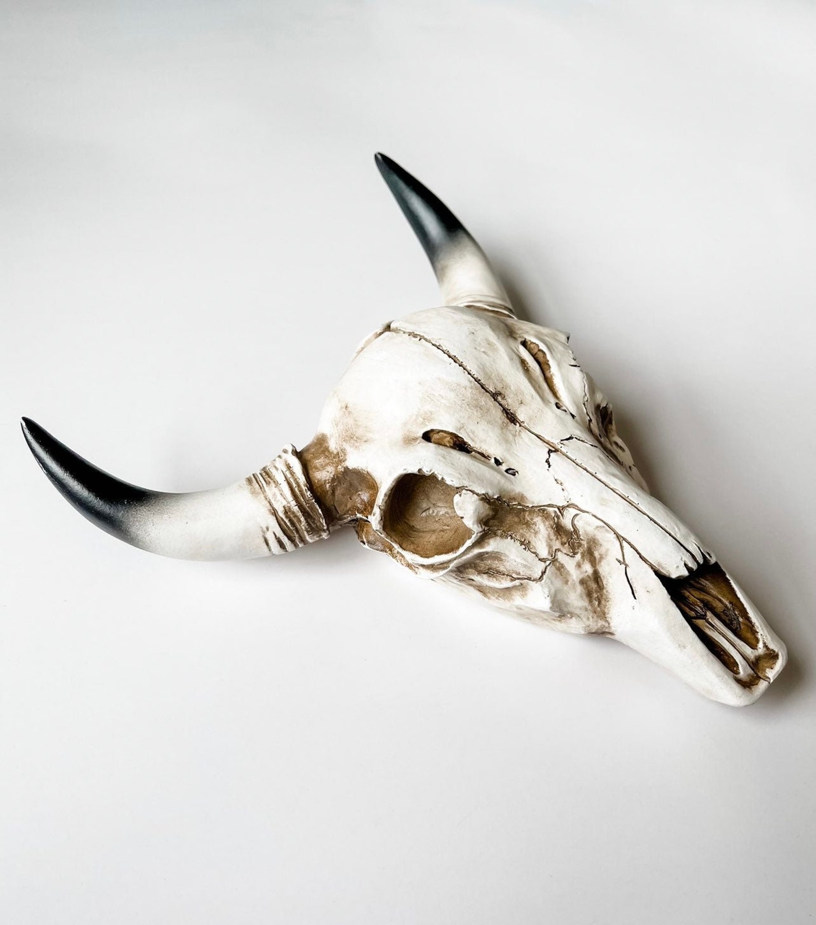 Resin Cow Skull Cow Head Longhorn Wall Decor gift idea Etsy