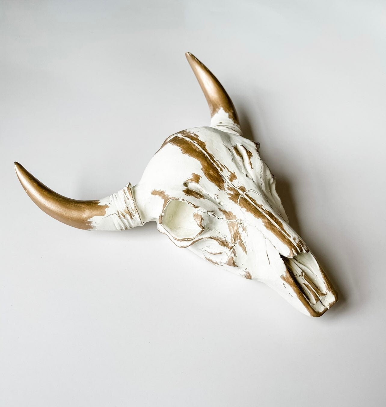 Resin Cow Skull Cow Head Longhorn Wall Decor gift idea Etsy