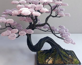 Realizzazione di alberi bonsai accessori fatti a mano filo e forbici bonsai  strumenti per bonsai supporto per bonsai