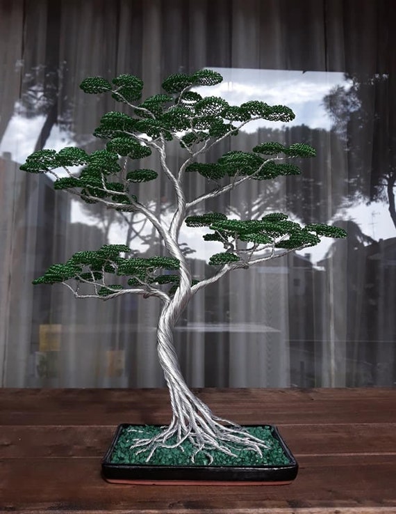 The Art of Bonsai Grow Kit - from Gift Republic