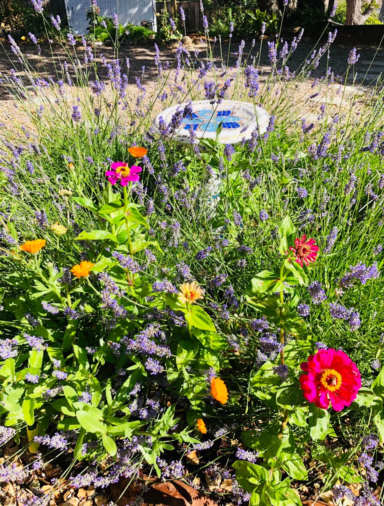 Organic Lavender Bath Salts Essential Oils Essential Lavender Etsy UK