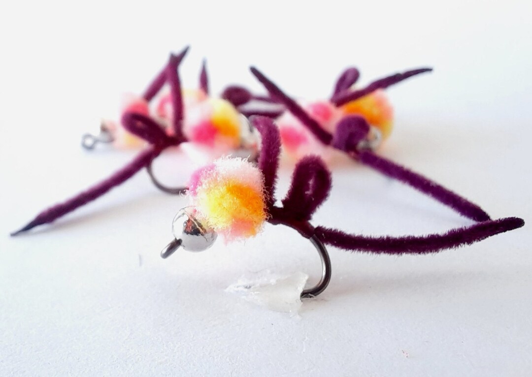 6 Eggi Juan Clownobi Steelhead Egg Flies. Trout Egg Flies. Great Lakes Fly Fishing. Tungsten Egg
