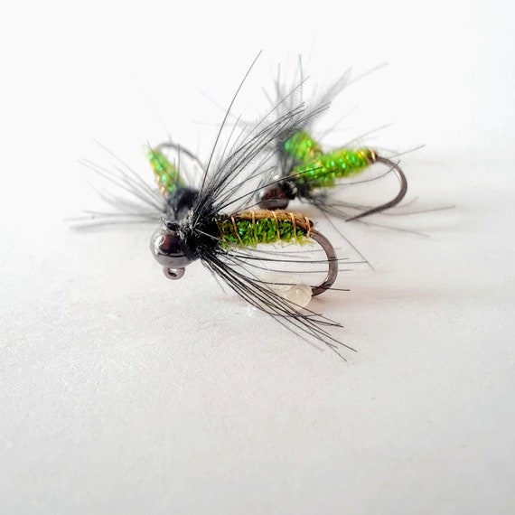 4 - CDC Caddis Pupa Jig - Euro Nymphs. Caddis Nymphs. Trout Flies. Fly  Fishing Flies. Colorado. CDC. Tungsten. Barbless. Soft Hackle. TH.