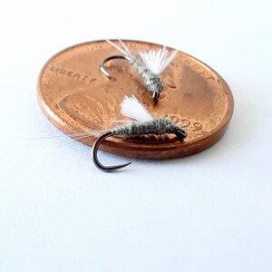 6 - RS2 Nymph - Midges and Emergers. Trout Flies. Fly Fishing Flies. Colorado Flies. Baetis. Mayflies. Barbless. Flies.