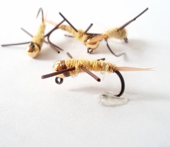 4 - Golden Stonefly Jig - Euro Nymphs. Best Stonefly Nymphs. Fly Fishing  Flies. Colorado Fishing. Tungsten. Barbless.