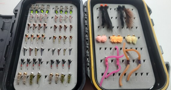 70 Euro Jig Box for Trout. Euro Nymph Fly Assortment for Fly Fishing.  Colorado Fly Fishing Nymph Fly Box. 