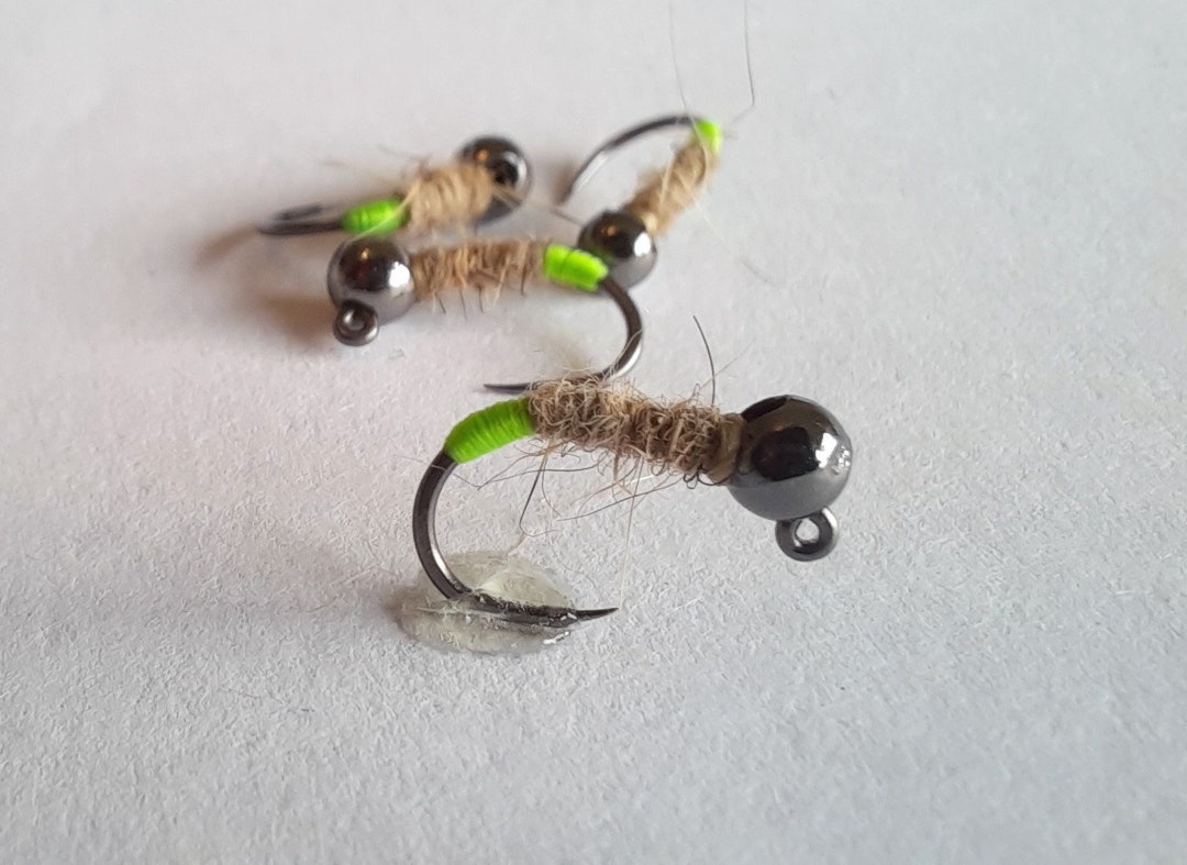 4 Peeking Caddis Euro Jig Cased Caddis. Euro Nymph. Tungsten Caddis