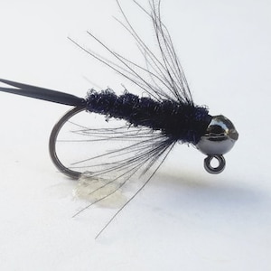May include: A black fly fishing lure with a black bead head and a black feather tail.