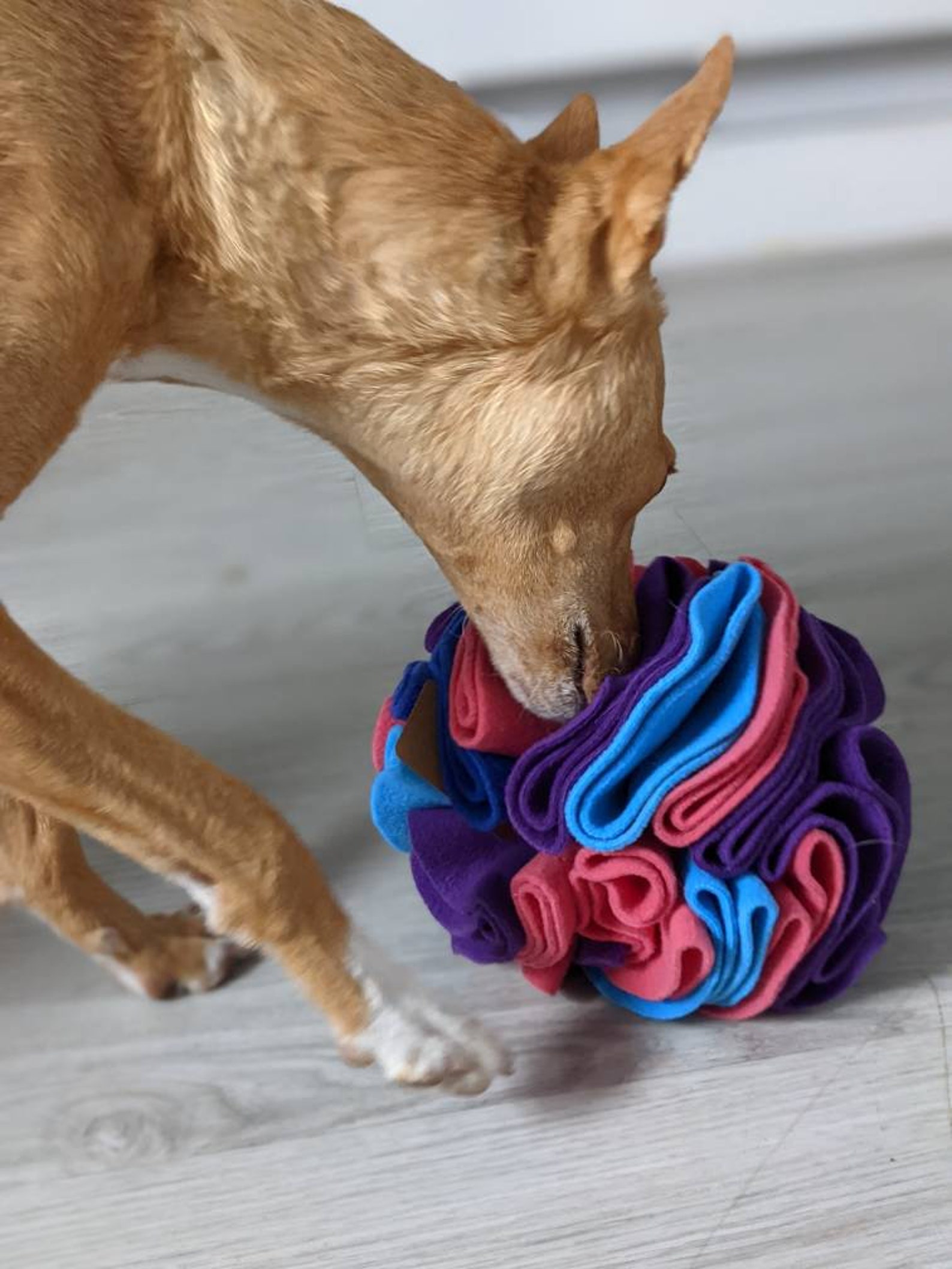 Snuffle Ball Enrichment Toy for Dogs and Other Pets GALAXY Etsy