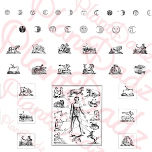 663 Digital Download- assorted mythical greek dealing with astrological signs