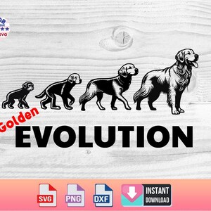 May include: Black and white silhouette illustration of the evolution of a Golden Retriever dog. The illustration shows a puppy, a young dog, a mature dog, and an older dog. The text "Golden Evolution" is below the illustration.