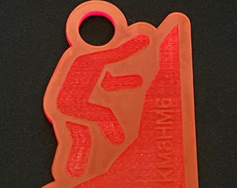 Geocoin Geocaching Traceerbare Travelbug Traveltag