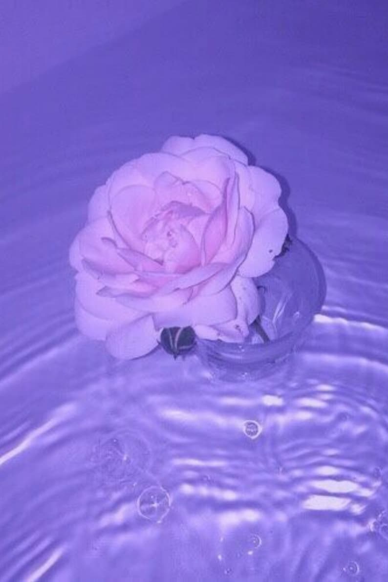 Фиолетовая вода почему. Эстетика розового и фиолетового. Нежно фиолетовая Эстетика. Фиолетовая Эстетика пастельная. Фиолетовые цветы Эстетика.