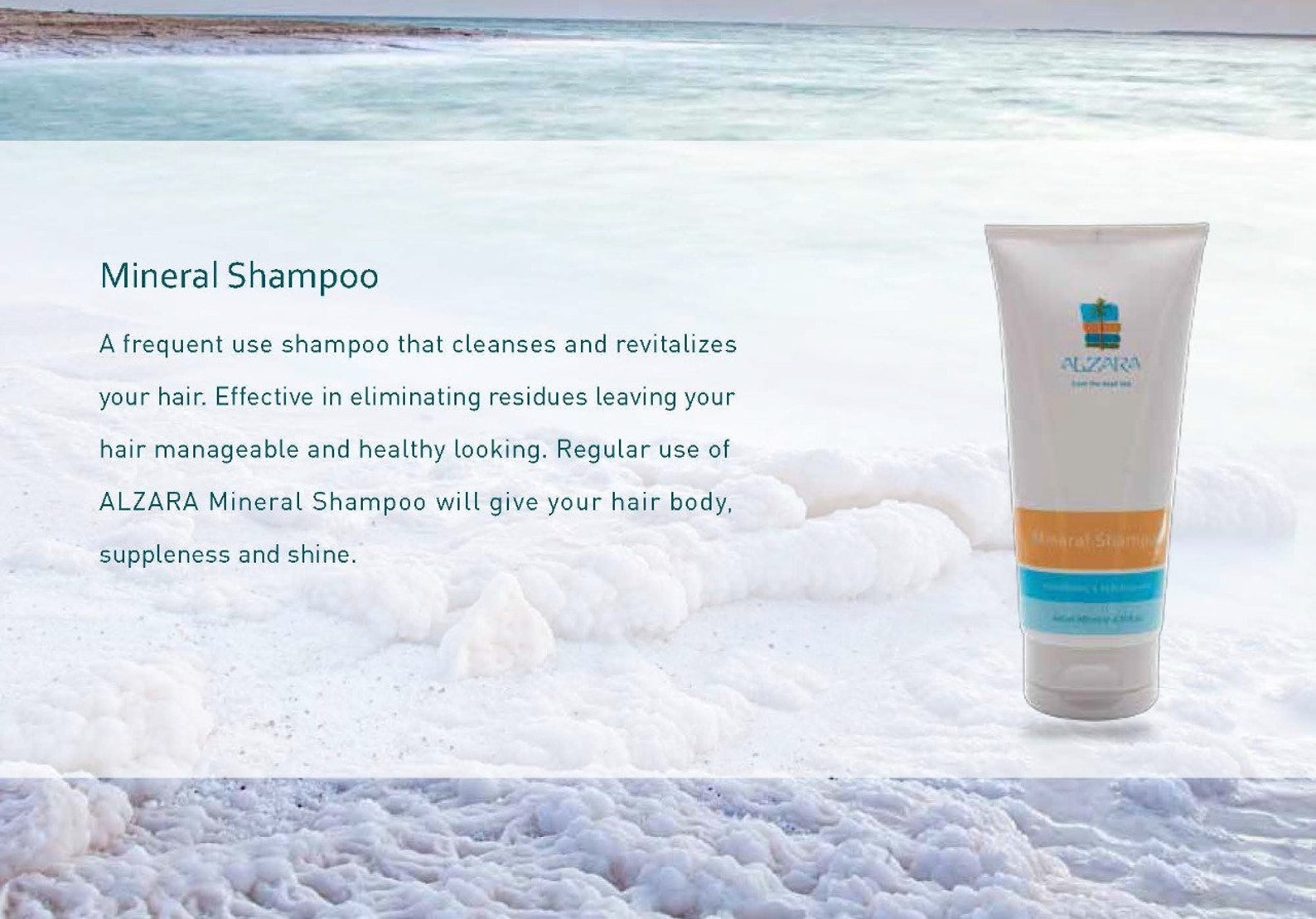 Situation Géographique De La Mer Morte Shampooing minéral de la mer Morte | Etsy